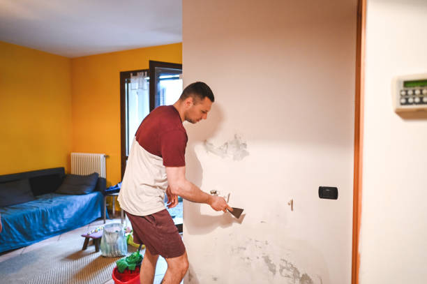 Best Crawl Space Mold Remediation in Deer Park, TX